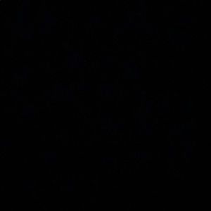 Meet your Posher, Alia